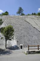 Dalle à Ammonites (Digne)